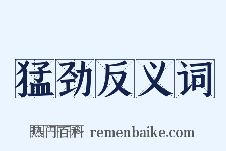 猛劲反义词是什么意思的图片
